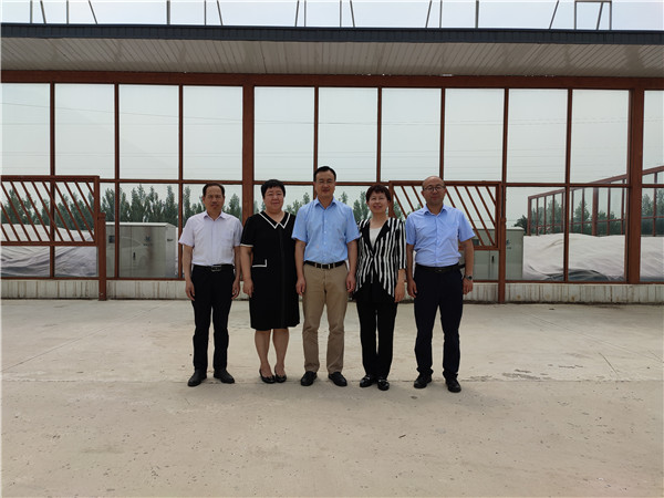农业农村部微生物肥料和食用菌菌种质量监视磨练测试中心李俊主任、姜昕主任来ag庄闲公司调研、指导事情 农业农村部微生物肥料和食用菌菌种质量监视磨练测试中心李俊主任、姜昕主任来ag庄闲公司调研、指导事情