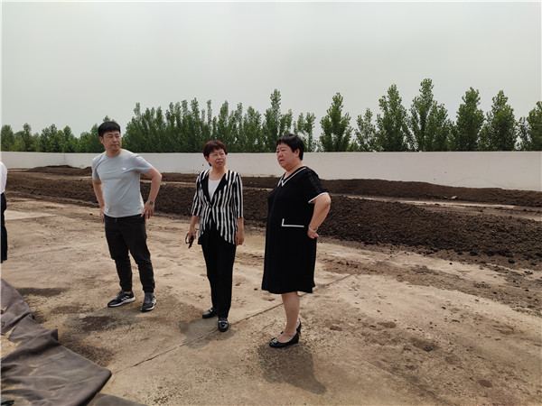 农业农村部微生物肥料和食用菌菌种质量监视磨练测试中心李俊主任、姜昕主任来ag庄闲公司调研、指导事情 农业农村部微生物肥料和食用菌菌种质量监视磨练测试中心李俊主任、姜昕主任来ag庄闲公司调研、指导事情