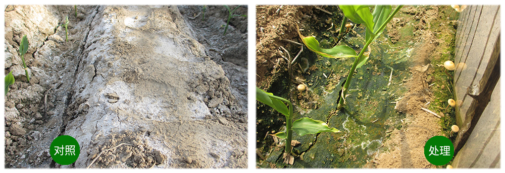 agׯ��������������������������󽪡�����������