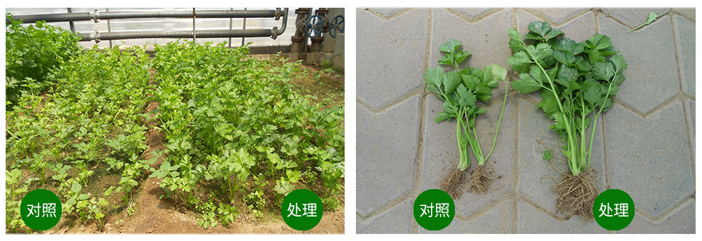 agׯ�����ﺣ����������ԡ������Ӫ��