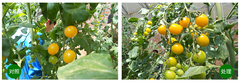 agׯ�����ﺣ����������ԡ������Ӫ��