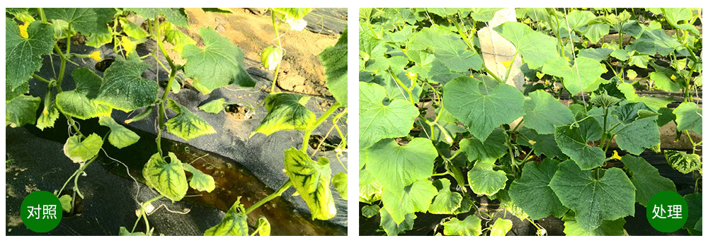 agׯ�����ﺣ����������ԡ������Ӫ��